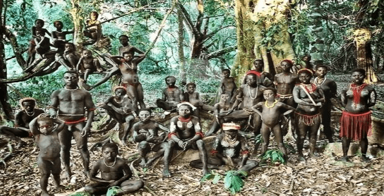 Jarawa tribe members gathering honey in the Andaman forest
