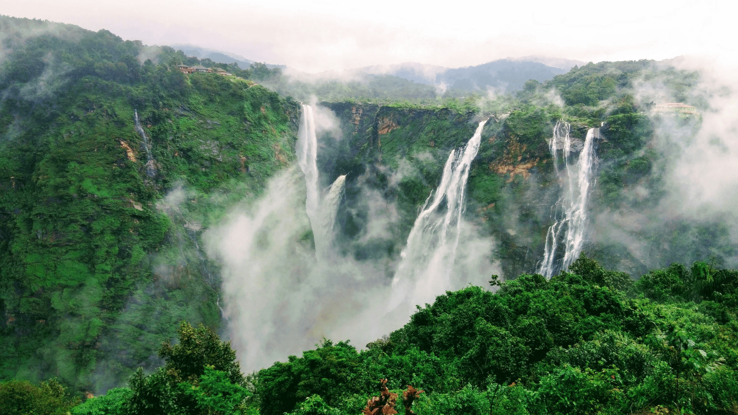 Jog Falls plunging from the Western Ghats during peak monsoon, mist rising with lush green hills surrounding the cascade.